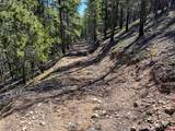 000 White Pine Upper Tomichi - Photo 17