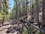 000 White Pine Upper Tomichi - Photo 18