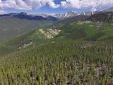 000 White Pine Upper Tomichi - Photo 5