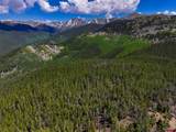000 White Pine Upper Tomichi - Photo 6