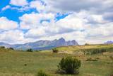 25081 & X Us Highway 84 - Photo 32