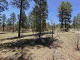 TBD Ventana Pass - Photo 5