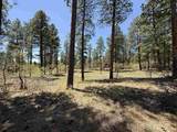TBD Ventana Pass - Photo 12