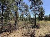 TBD Ventana Pass - Photo 13