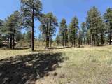 TBD Ventana Pass - Photo 14