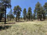 TBD Ventana Pass - Photo 6