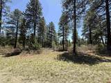 TBD Edgemont Highlands Drive - Photo 10