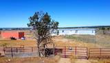 2739 County Road 122 - Photo 4