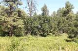 190 Jackalope Drive - Photo 25