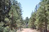 166 Jackalope Drive - Photo 12