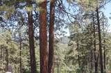 166 Jackalope Drive - Photo 13