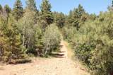 166 Jackalope Drive - Photo 19