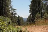 166 Jackalope Drive - Photo 23