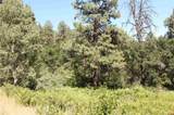 166 Jackalope Drive - Photo 24
