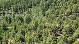 166 Jackalope Drive - Photo 8