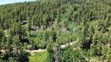 166 Jackalope Drive - Photo 9