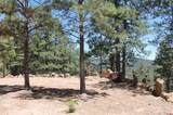 190 Jackalope Drive - Photo 19