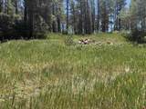 473 Alpine Forest Drive - Photo 2
