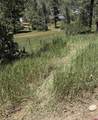 473 Alpine Forest Drive - Photo 3