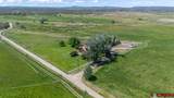 4369 Cattle Drive - Photo 13