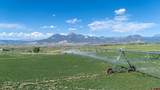 4369 Cattle Drive - Photo 36