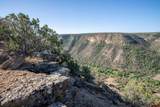 4369 Cattle Drive - Photo 44