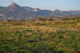 4369 Cattle Drive - Photo 45