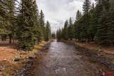 27646 Hwy 145 - Photo 8