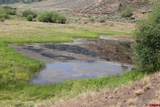 42780 County Road 6Yy, Gold Basin High Country Ranches - Photo 2