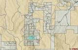 42780 County Road 6Yy, Gold Basin High Country Ranches - Photo 44