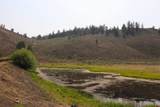 42780 County Road 6Yy, Gold Basin High Country Ranches - Photo 5