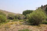 42780 County Road 6Yy, Gold Basin High Country Ranches - Photo 9