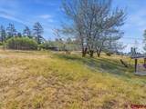 1712 County Road 501 - Photo 19
