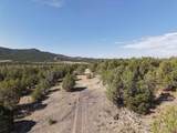 TBD Cr 310 - Photo 11