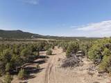 TBD Cr 310 - Photo 12
