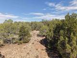 TBD Cr 310 - Photo 17