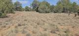 TBD Cr 310 - Photo 23