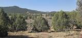 TBD Cr 310 - Photo 25