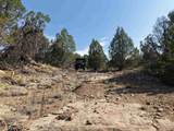 TBD Cr 310 - Photo 4
