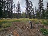 1229 Vallecito Creek Road - Photo 2