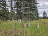 1229 Vallecito Creek Road - Photo 3