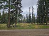 1229 Vallecito Creek Road - Photo 5
