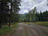 1229 Vallecito Creek Road - Photo 6
