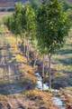9001 2100 Road - Photo 10