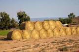 9001 2100 Road - Photo 12