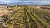 9001 2100 Road - Photo 41