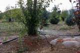 9001 2100 Road - Photo 6