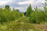 9001 2100 Road - Photo 7