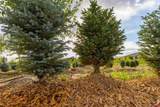 9001 2100 Road - Photo 9