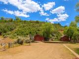 336 County Road 251 - Photo 21